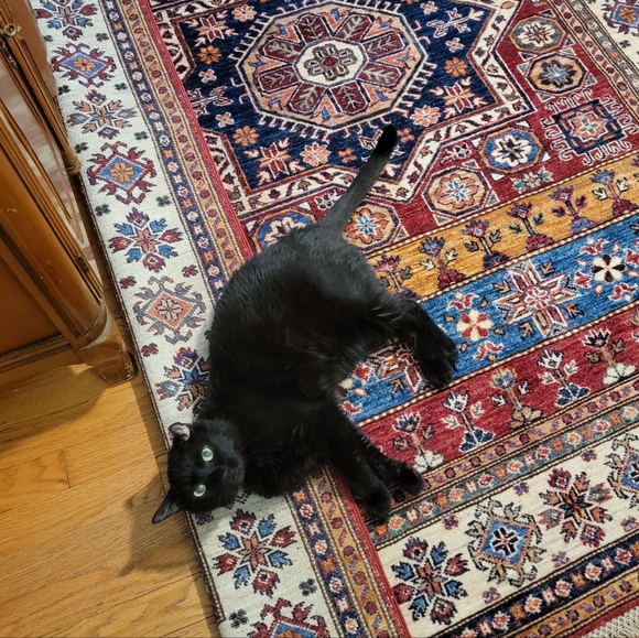 Meet your Posher, Dana - Picture 16 of 16